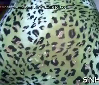 Wicked sharing of genitals
